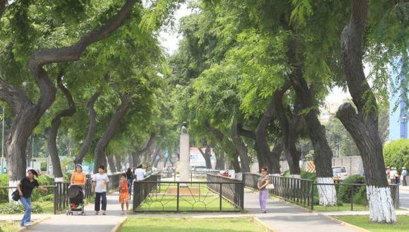 Av. Salaverry: Bringas niega tala de árboles por tercer carril