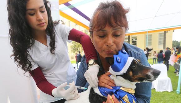 La meta de la campaña “Van Can” es inmunizar a 50.000 canes con la ayuda del personal de 47 establecimientos de salud. (Foto: Minsa)