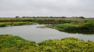 La Bocana: la belleza de una laguna olvidada