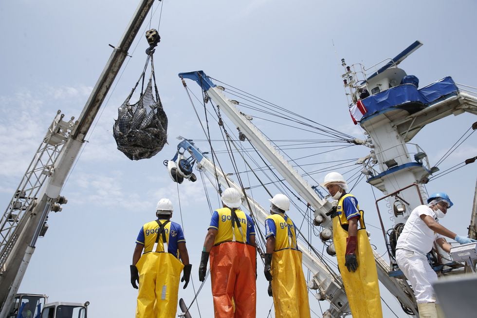 Luego de registrar un crecimiento interanual entre los diez primeros meses en el 2017 de 30,66% y de 18,11% en el 2018, la producción del sector pesca anotó una contracción de 18,45% en el mismo intervalo del año pasado, según el INEI. (Foto: GEC)