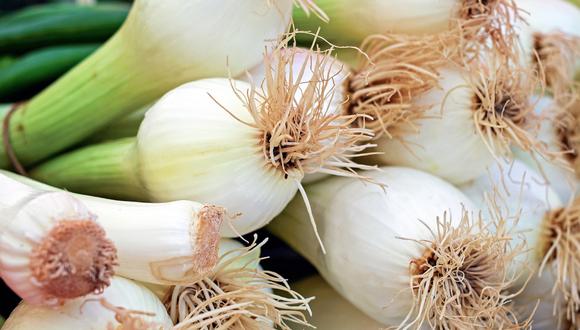 La cebolleta es una de las hortalizas más comunes en el mundo. (Imagen: Couleur / Pexels)
