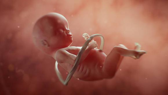 ¿Cuáles son las diez cosas increíbles que hace un bebé dentro del útero de la madre?. (Foto: iStock)