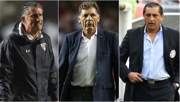 Selección argentina: hoy se elige al nuevo técnico albiceleste