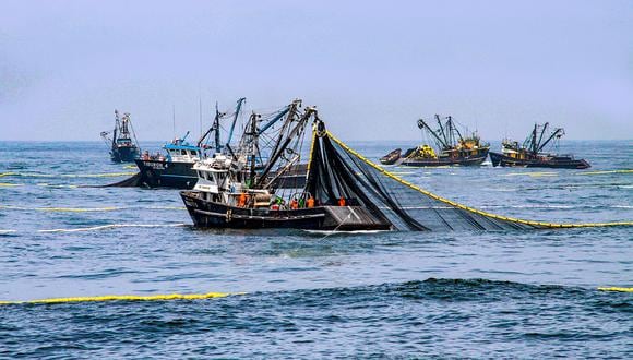 La pesca de anchoveta será suspendida. (Foto: Produce)