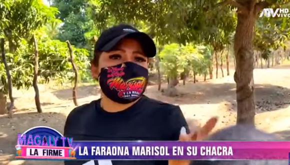 Marisol contó para las cámaras de "Magaly TV: La Firme" que durante la cuarentena se ha dedicado a cultivar limones (Foto: captura)