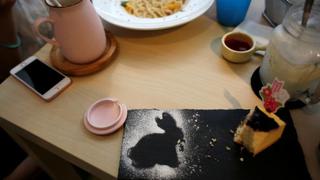 El "café de conejos" que causa ternura en Hong Kong [FOTOS]