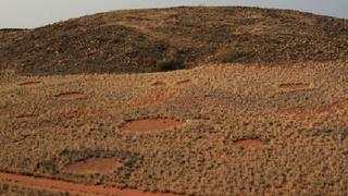 Nueva hipótesis explica los "círculos de las hadas" de Namibia
