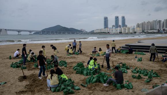 Los miembros del consejo de distrito llenan bolsas de arena como parte de los preparativos antes de la llegada del tifón Maysak, en la playa de Gwangalli, en Busan. (Ed JONES / AFP)