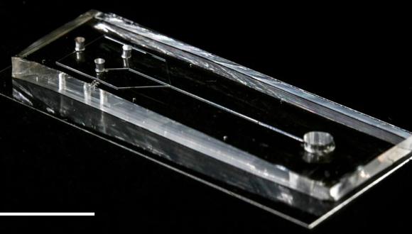 Así es el dispositivo de microfluidos que imita la seda de araña.
