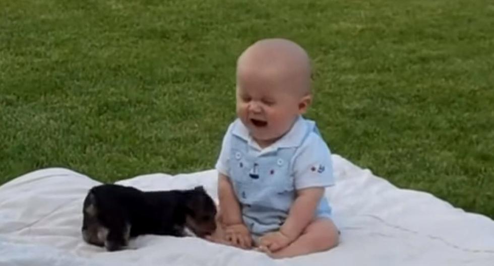Bebé \"atacado\" por cachorro se vuelve viral en YouTube. (Foto: captura YouTube)