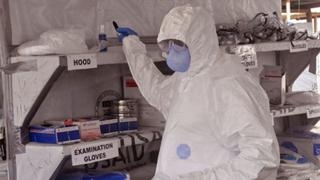 Ébola: tratamiento experimental tuvo éxito en estudio con monos
