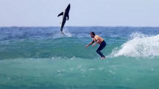 El asombroso momento en que un tiburón blanco salta detrás de un surfista