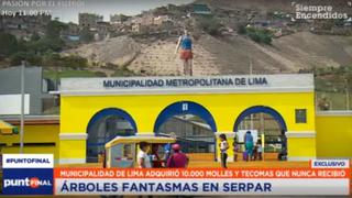 Denuncian que Serpar pagó S/340 mil por 10 mil árboles 'fantasmas'