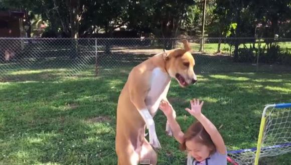 YouTube: la preocupación de un perro al caer sobre una niña