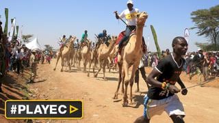 Kenia: las carreras de camellos para atraer a turistas [VIDEO]