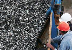 Fenómeno de La Niña aumentará pesca de jurel y anchoveta