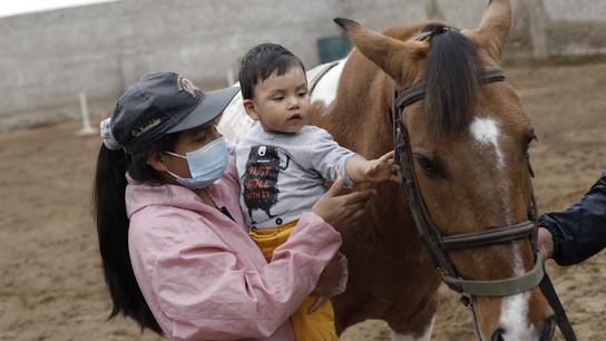 Terapia con caballos: centro de equinoterapia Hambhar