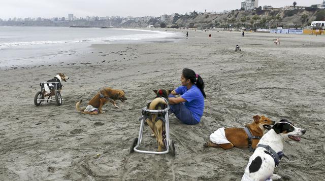 Milagros Perrunos: refugio para perros con discapacidad en Lima - 12