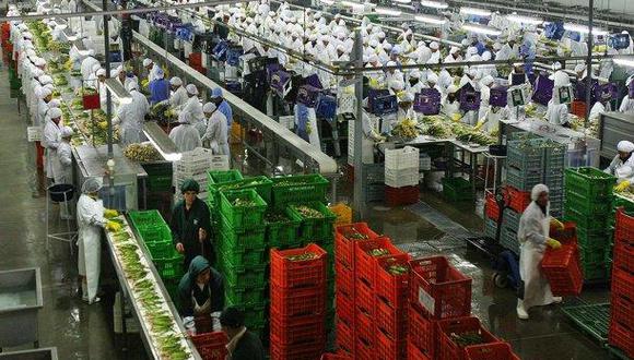 En el mes de mayo, las exportaciones no tradicionales ascendieron a US$ 1.398 millones, un incremento interanual de 0,2%. (Foto: Andina)