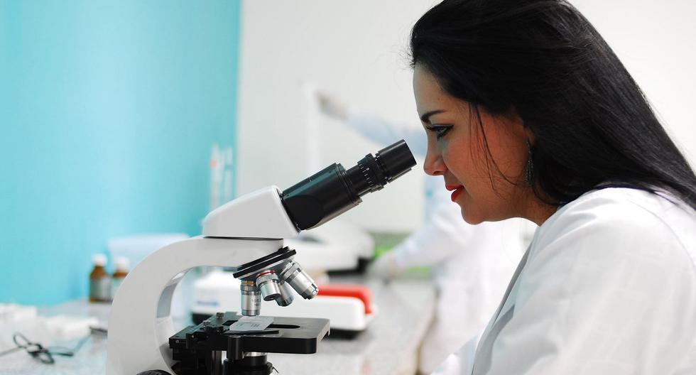 Falta más presencia femenina en las carreras de ciencia, tecnología, ingeniería y matemáticas. (Foto: Andina)