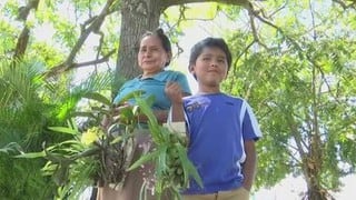 Niño vende flores con su abuela y pide que le regalen libros por Navidad