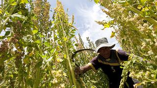 Minagri evalúa impacto del Fenómeno de El Niño en la zona sur