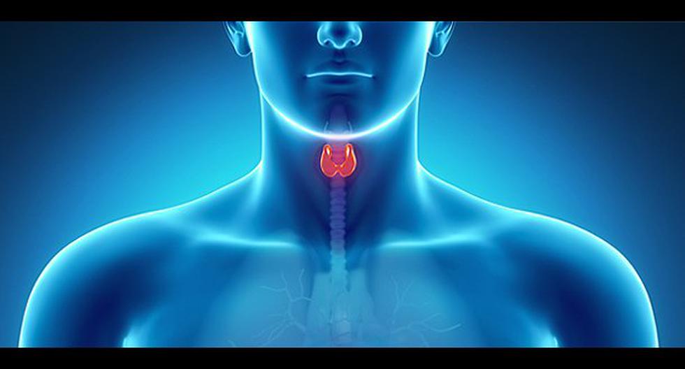 Descubre las señales poco frecuentes de los problemas de la tiroides. (Foto: Difusión)