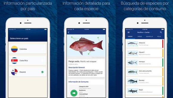 Crean app para proteger peces en Colombia, Costa Rica y Panamá