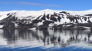 Especie marina potencialmente invasora amenaza la riqueza natural de la Antártida 