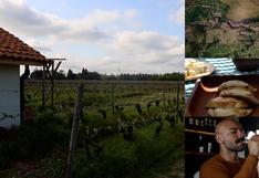 Ruta del vino: conoce el valle de Colchagua