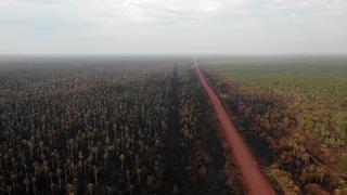 Bolivia dice haber apagado más del 85% del gran incendio en la Amazonía | FOTOS