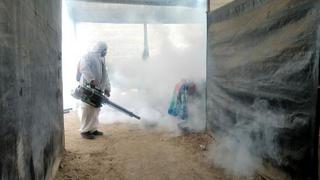 San Martín: confirman cuatro fallecidos por dengue y más de 1.200 casos