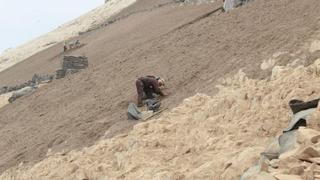 El mejor guano orgánico del mundo irá a pequeños agricultores