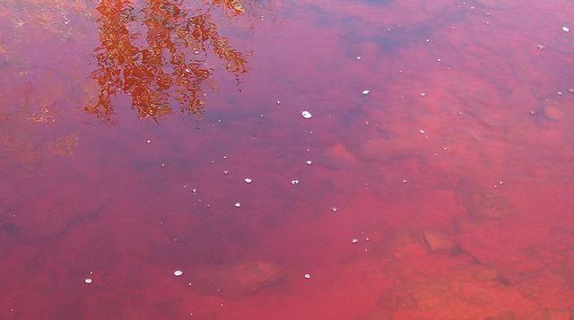 Río Tinto, este lugar en España tiene sus aguas de color rojo - 4