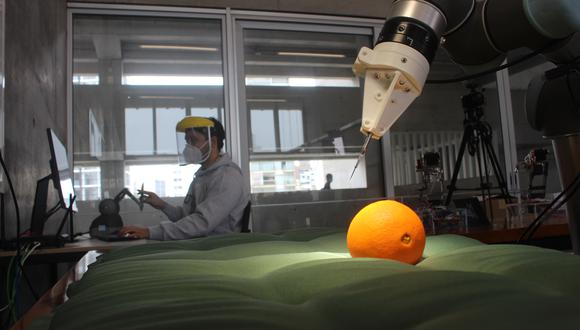 Los especialistas de la UTEC han probado la capacidad de corte del brazo robótico en naranjas. Utilizarán luego carne de cerdo. (Foto: UTEC)