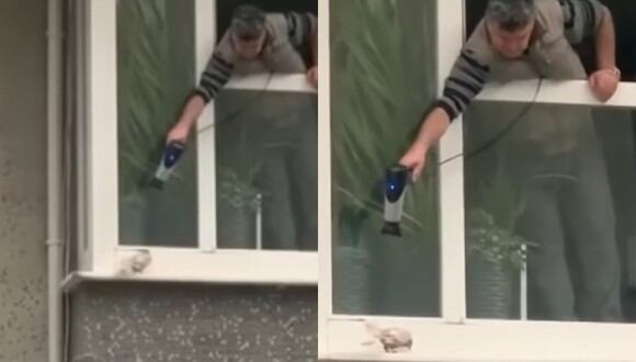 Este hombre salió por su ventana para calentar a un a paloma que estaba muriendo de frio por la lluvia (Foto: TV100)