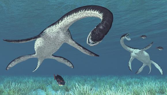 El plesiosaurio hallado en el Morro Solar tiene una antiguedad de 135 millones de años. (Foto: National Geographic)