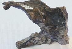 Hallan restos de un desconocido reptil volador del Jurásico