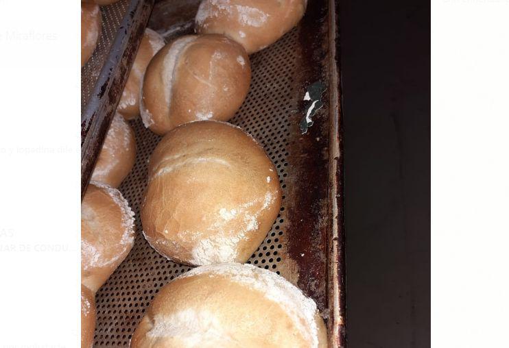 (Foto: Municipalidad de Miraflores)