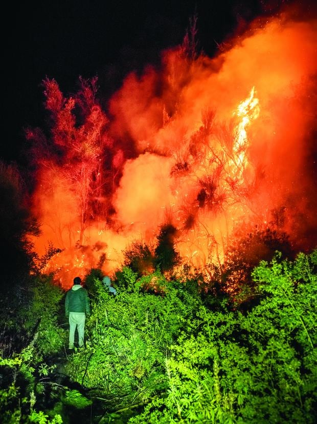 Two volunteers try to put out the fire in one of the outbreaks near Route 40 in the Cuesta del Ternero area.  The image was taken on January 27 at 2 am 