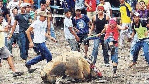 YouTube: brutal fiesta en que matan a toro es repudiada (VIDEO)