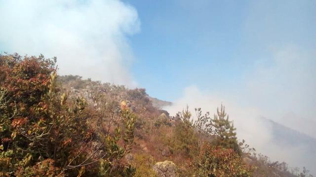 Al menos 12 incendios forestales se han registrado en la región Cajamarca desde el último jueves (Foto: Martín Alvarado)