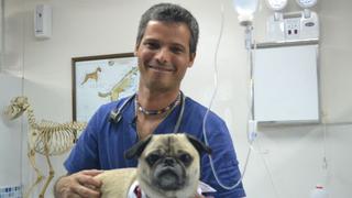 "Ser veterinario es lidiar día a día con la muerte"