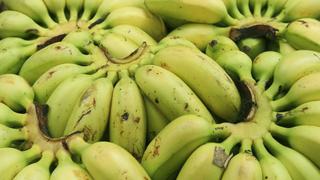 Caen sujetos que trasladaban alcaloide de cocaína en plátanos