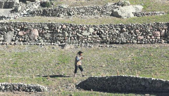 Los andenes vuelven a ser productivos en la sierra sur