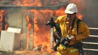 EE.UU.: 4 mil personas escapan de California por voraz incendio