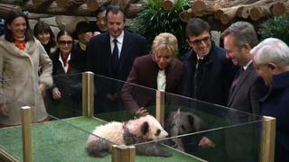 Brigitte Macron bautiza al primer bebé panda de Francia