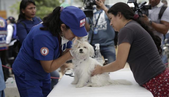 San Juan de Lurigancho