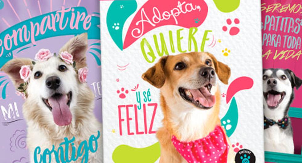 Perros y gatos sin hogar se lucen en cuadernos escolares | WUF | EL  COMERCIO PERÚ