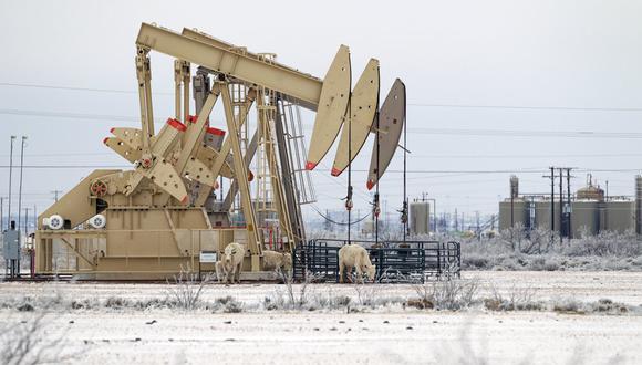 El ganado se refugia del viento frío en el costado de un conjunto de gatos de bombeo de petróleo en Midland, Texas. (Eli Hartman / Odessa American vía AP).